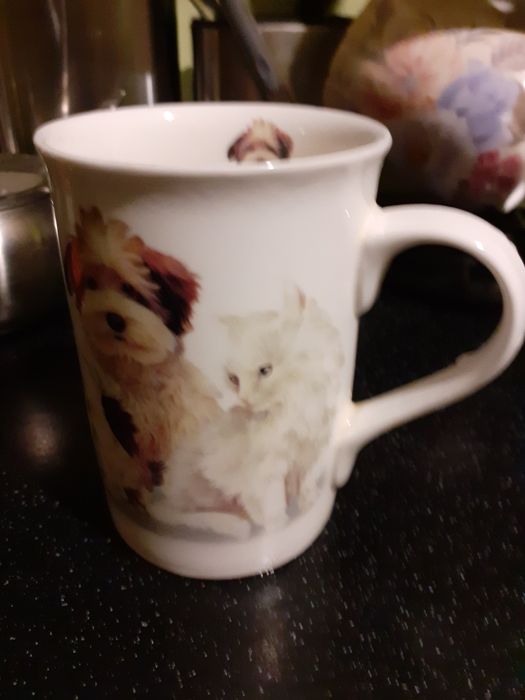 Kubek z psami i kotami