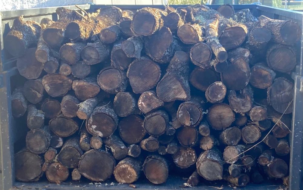 Lenha de azinho - limpeza