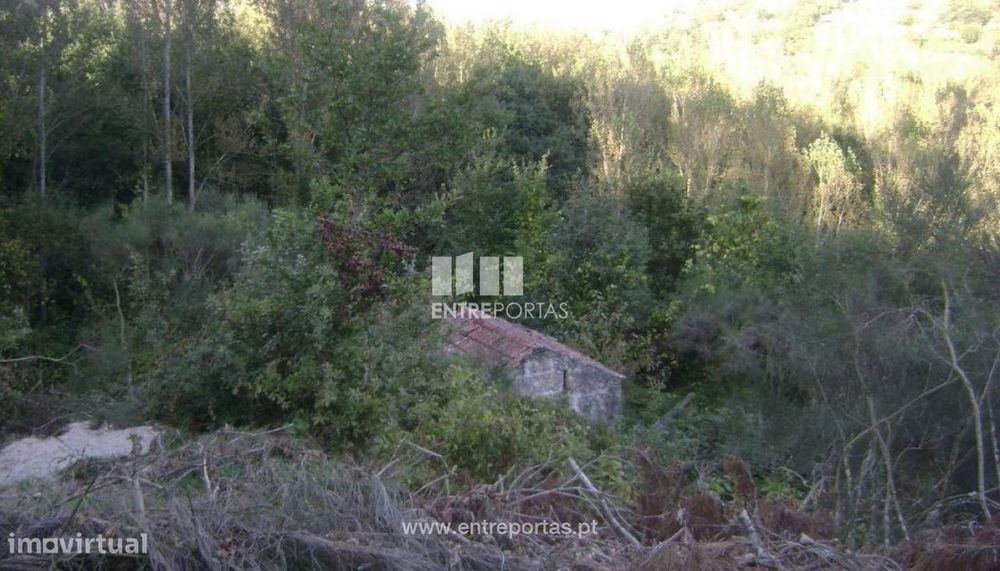 Venda Terreno, Campelo, Baião