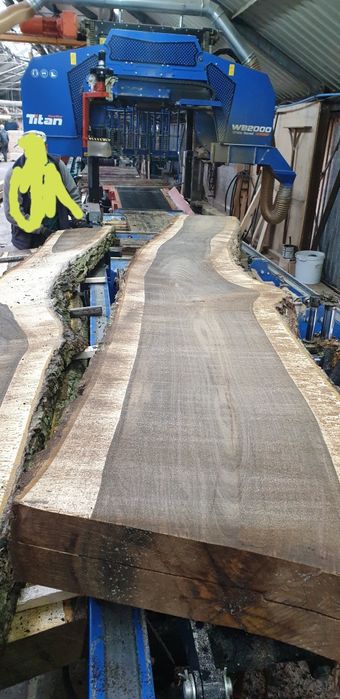 Orzech włoski drzewo dąb pień drzewo foszty deski monolit stół meble