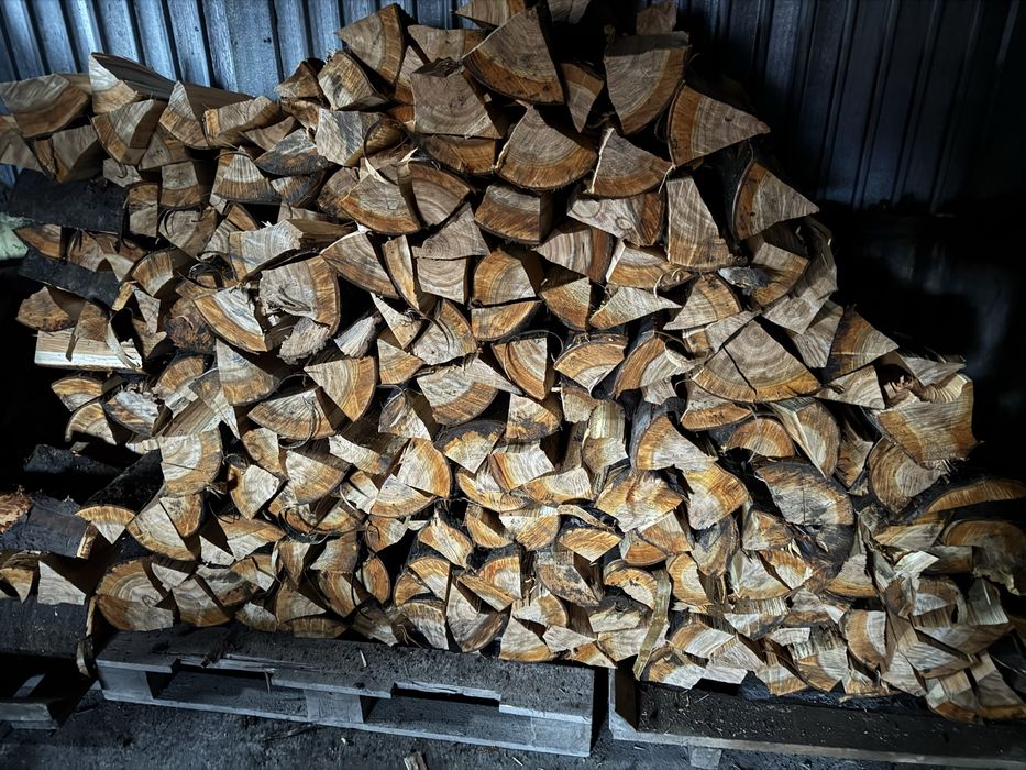 Дрова твердих та мʼяких порід