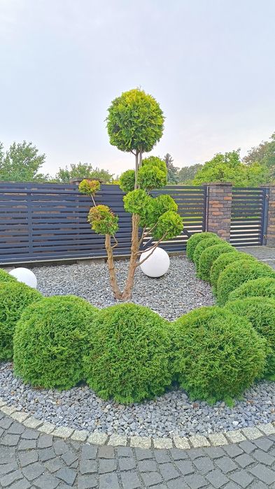 Drobne usługi ogrodowe