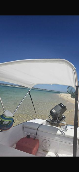 Barco com motor suzuki 15cv