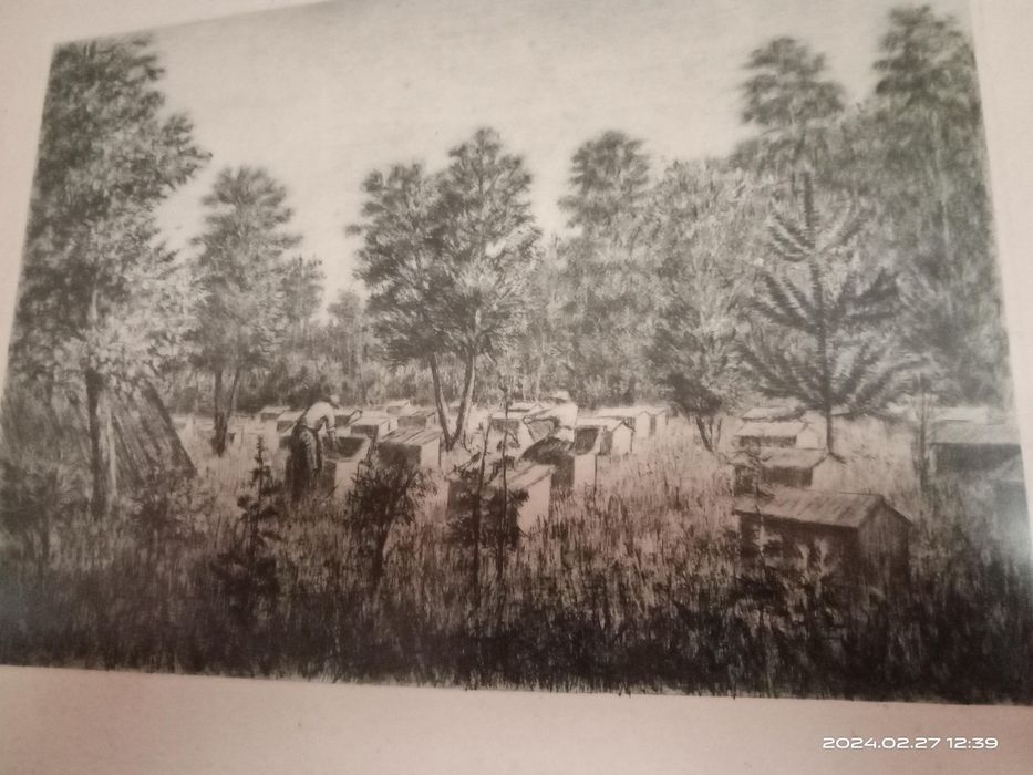 П.Куценко гравюри графіті продам,цена за одну.