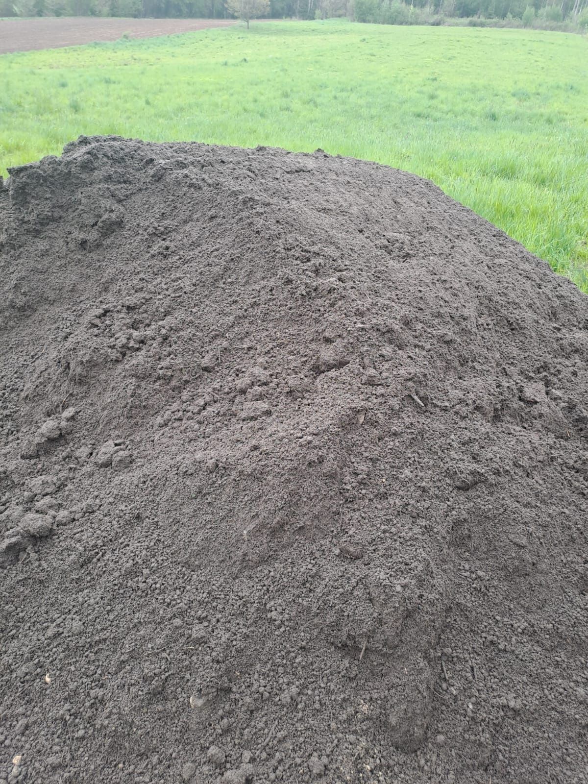 Humus siany (ziemia ogrodowa pod trawnik, rośliny) Kraków