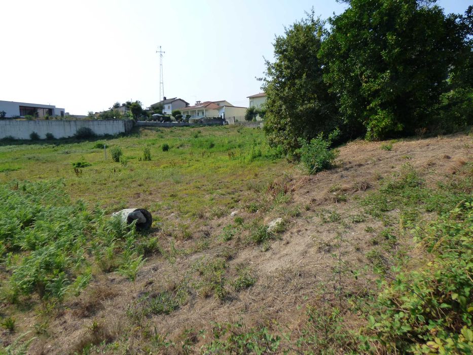 Terreno em VIzela (Infias)