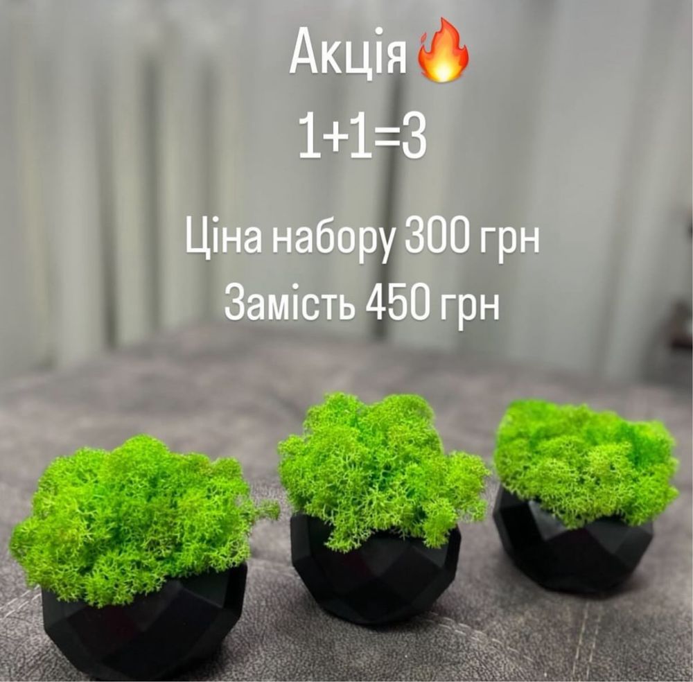 Часи з мохом ,дерево життя,дерево ,кашпо з мохом,картина з мохом,соти