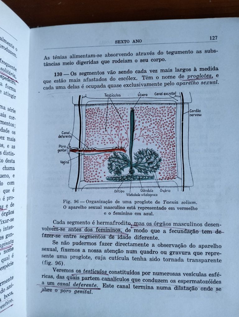 Antigo Compêndio de Biologia