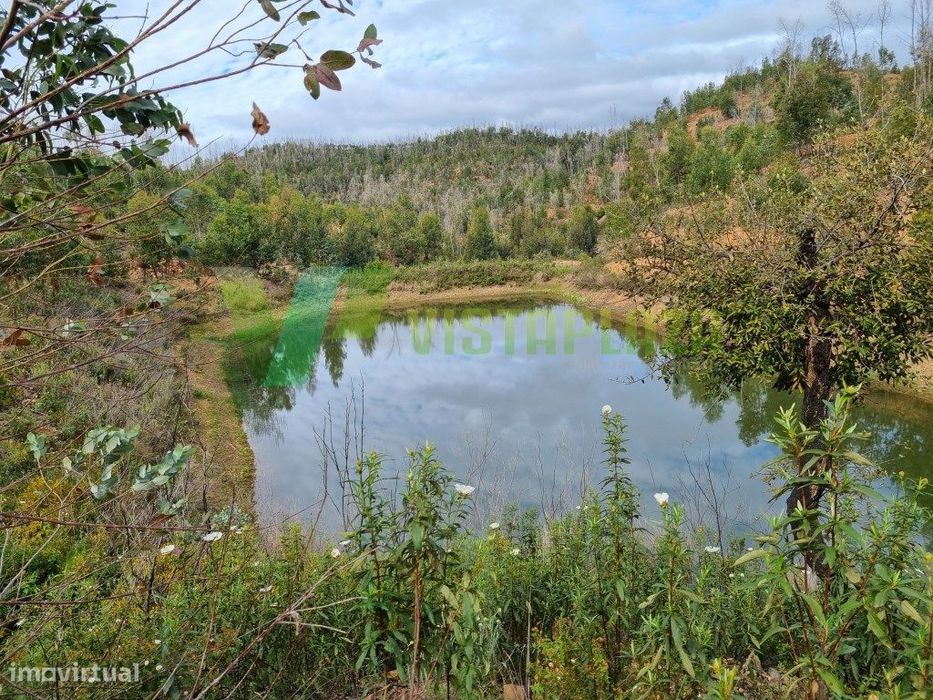 Terreno Misto com Ruína para Recuperar Silves.