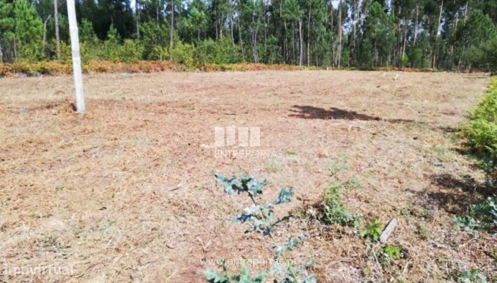 Venda de Terreno, Fragoso, Barcelos.