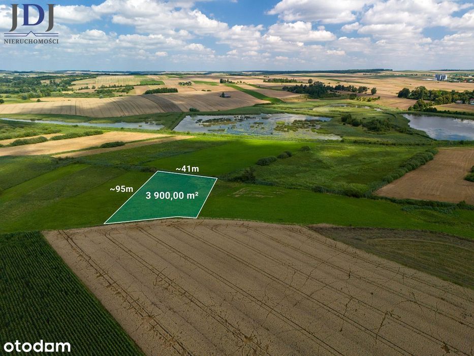 Działka 39 ar.Rogów.Grabowiec.Zamojski.Lubelskie