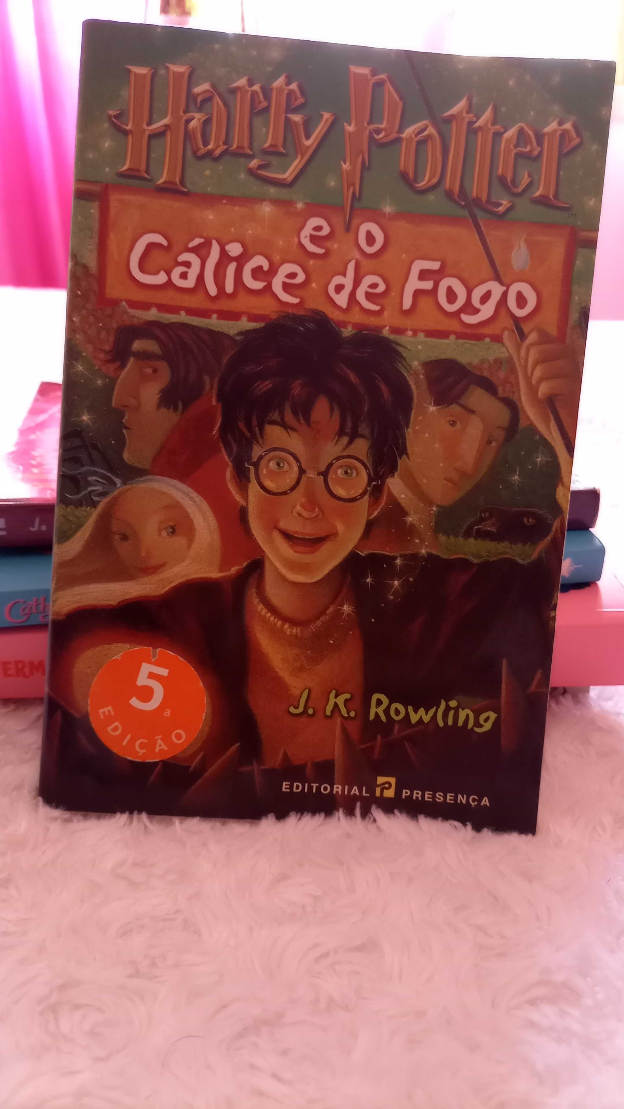 Livros (2) Harry Potter