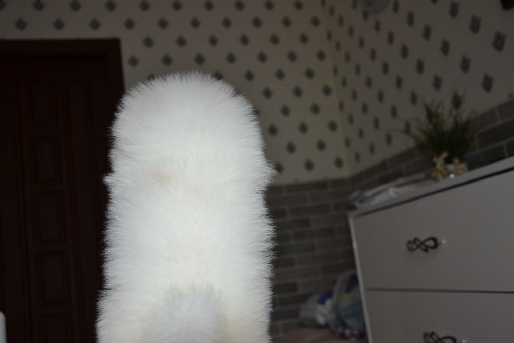 Хлопчик красунчик!