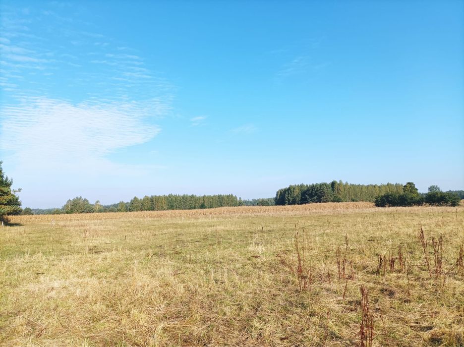Działka rolno-leśna (2ha) Baranowo (06-320) koło Ostrołęki