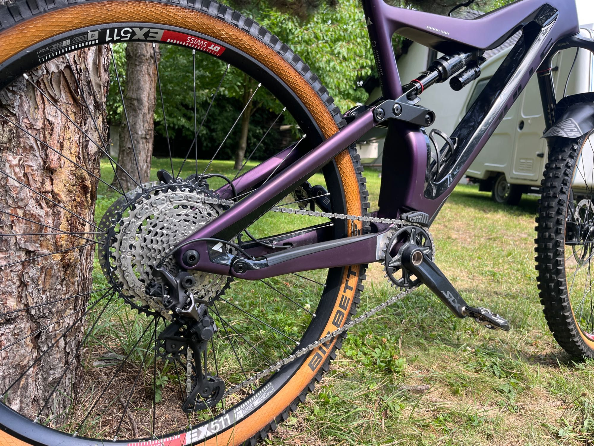 Bulls Wild creed RS XL 29”