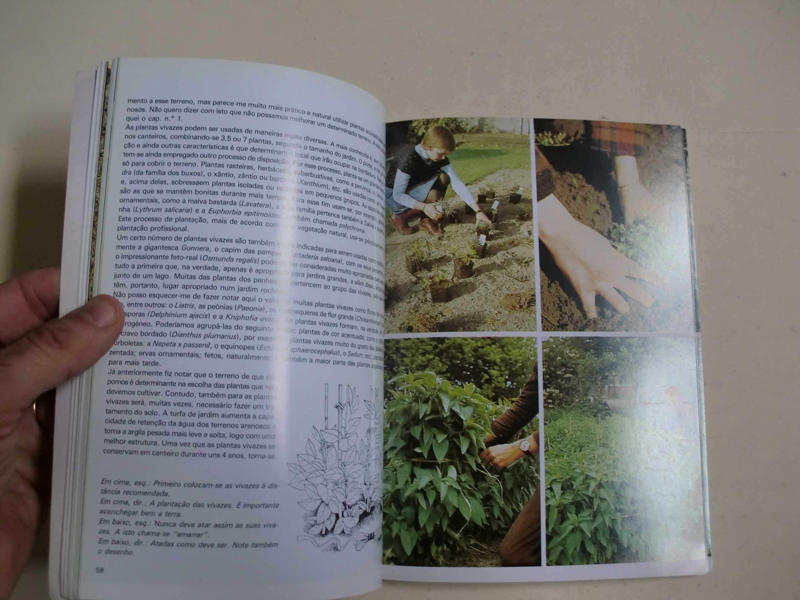 Guia Prático de Jardinagem
de Wim Ousdhorm