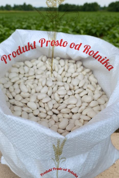 Fasola Jaś Opakowanie 5 kg wysyłka natychmiast Inpost