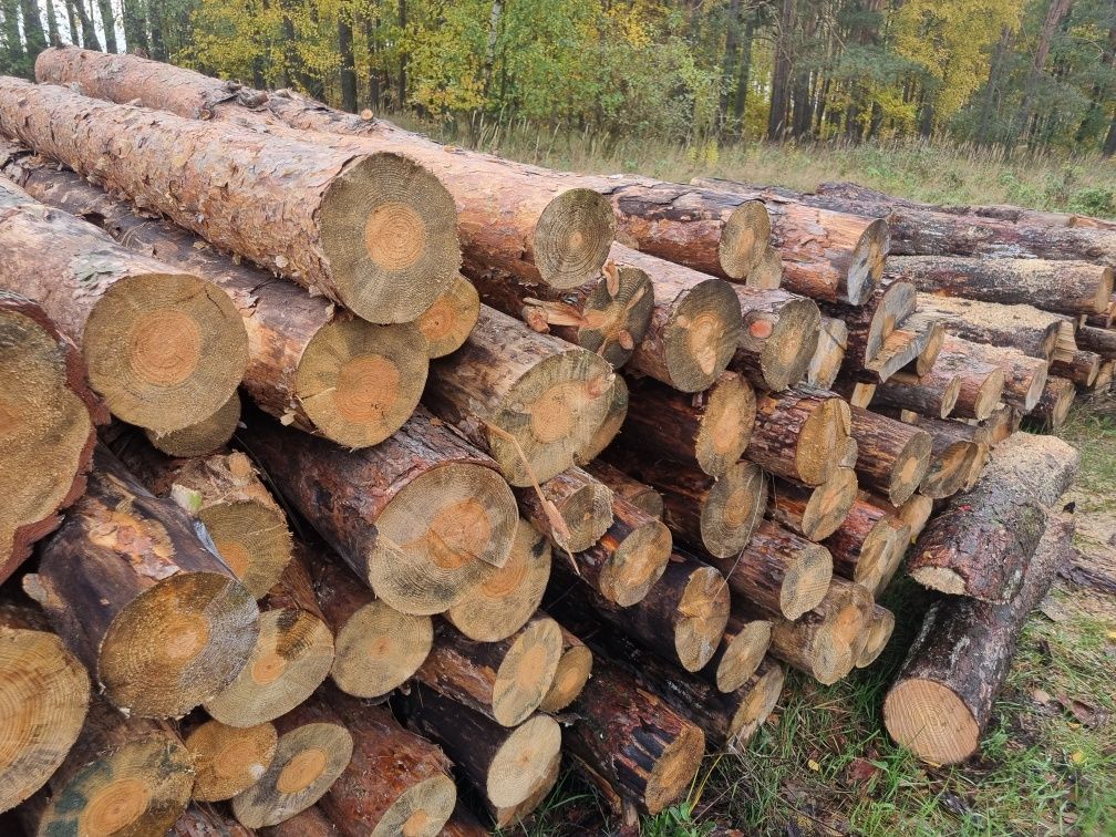 Sprzedam drzewo opałowe sosna akacja brzoza topola olcha w całości i ł