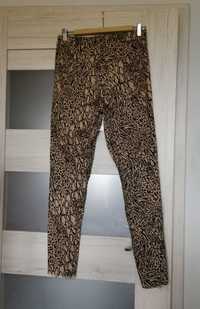 H&M beżowe spodnie w panterkę M