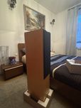 Audiovector m3 Avantgarde Maple