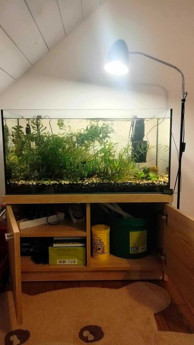 Akwarium proste 120L, Kolno.