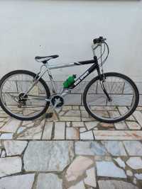 Bicicleta Sport Team Pro 4210