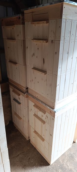 Ule wielkopolskie 10 ramkowe w 2 Gat.