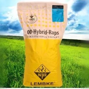 Насіння озимого ріпаку Вісбі - гібрид від Виробника «Лембке» (Lembke)