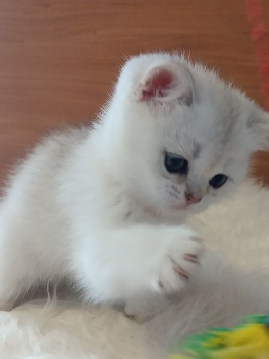 І буде Вам щастя