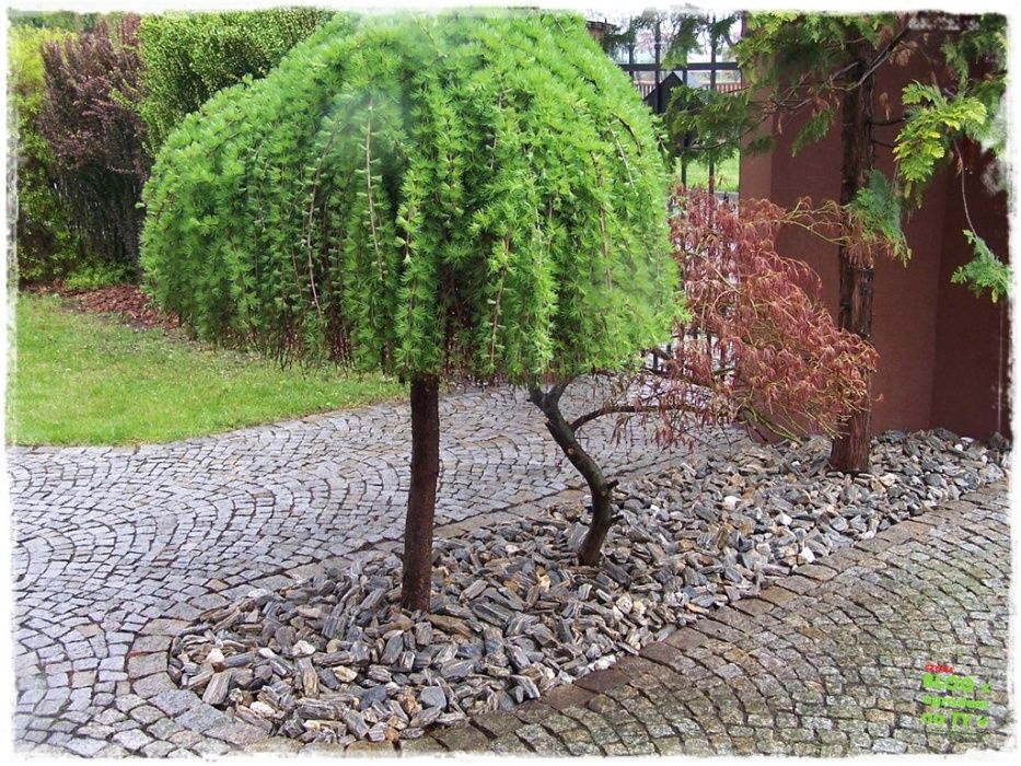 Corteza Kora kamienna 32-63 mm kamień ozdobny ogród