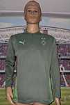 Borussia Mönchengladbach Puma DryCell 2021-22 training top size: M-L