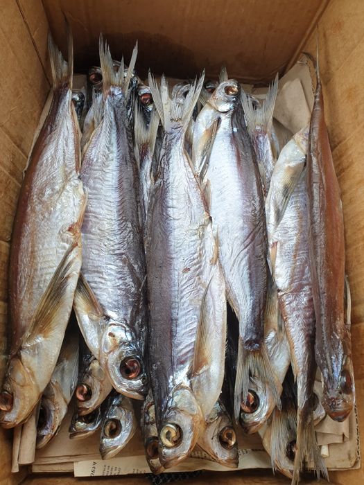 Тарань сушена з ікрою. Лящь Судак Окунь верховодка