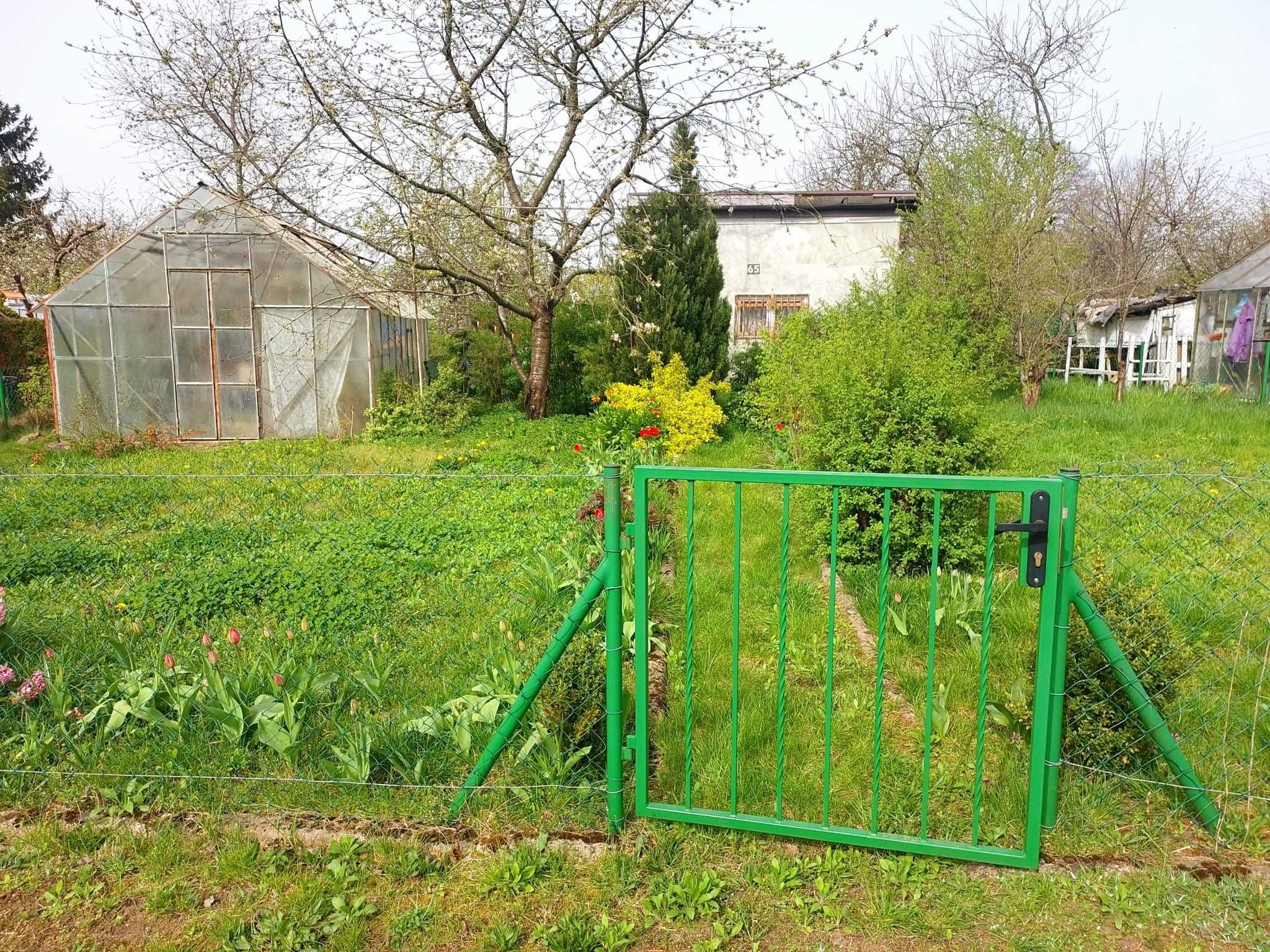 Sprzedam atrakcyjną działkę ogrodową ROD