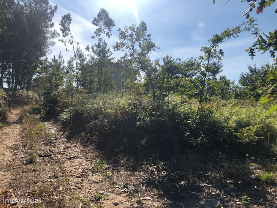 Terreno Rústico à Venda em Braga, Esposende - 60.000€