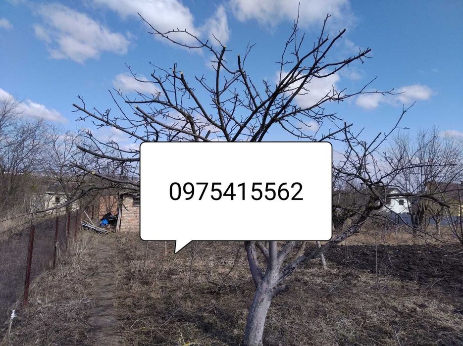 Обрізка фруктових дерев (саду)