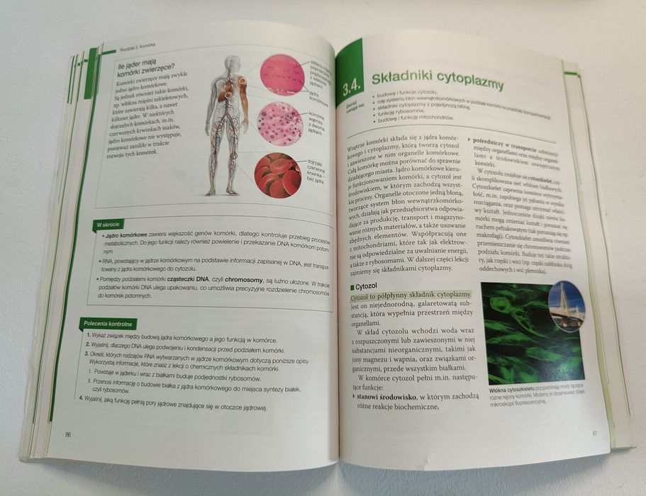 Biologia na czasie 1 - zakres podstawowy Nowa era