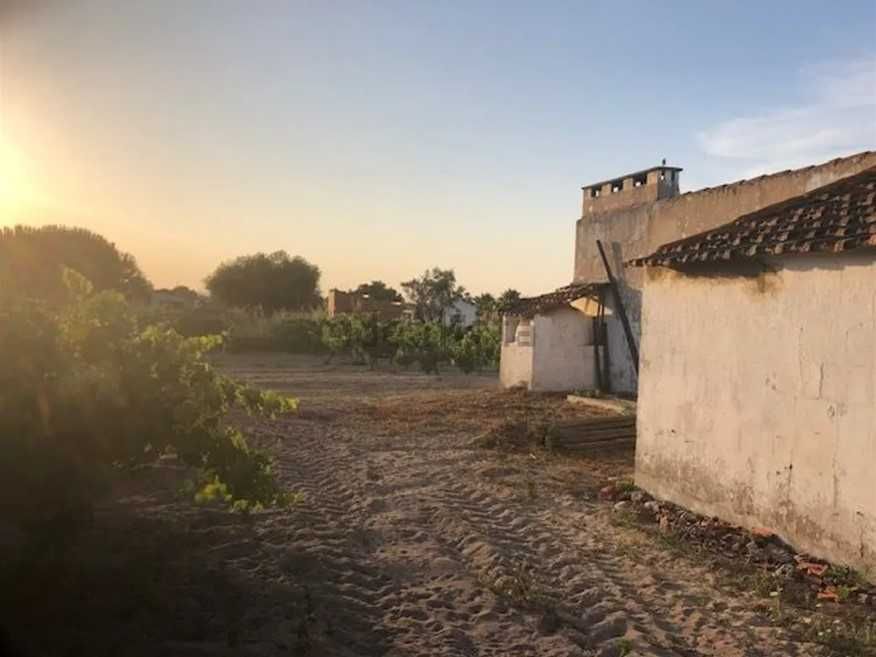Terreno com vinha e casa de apoio