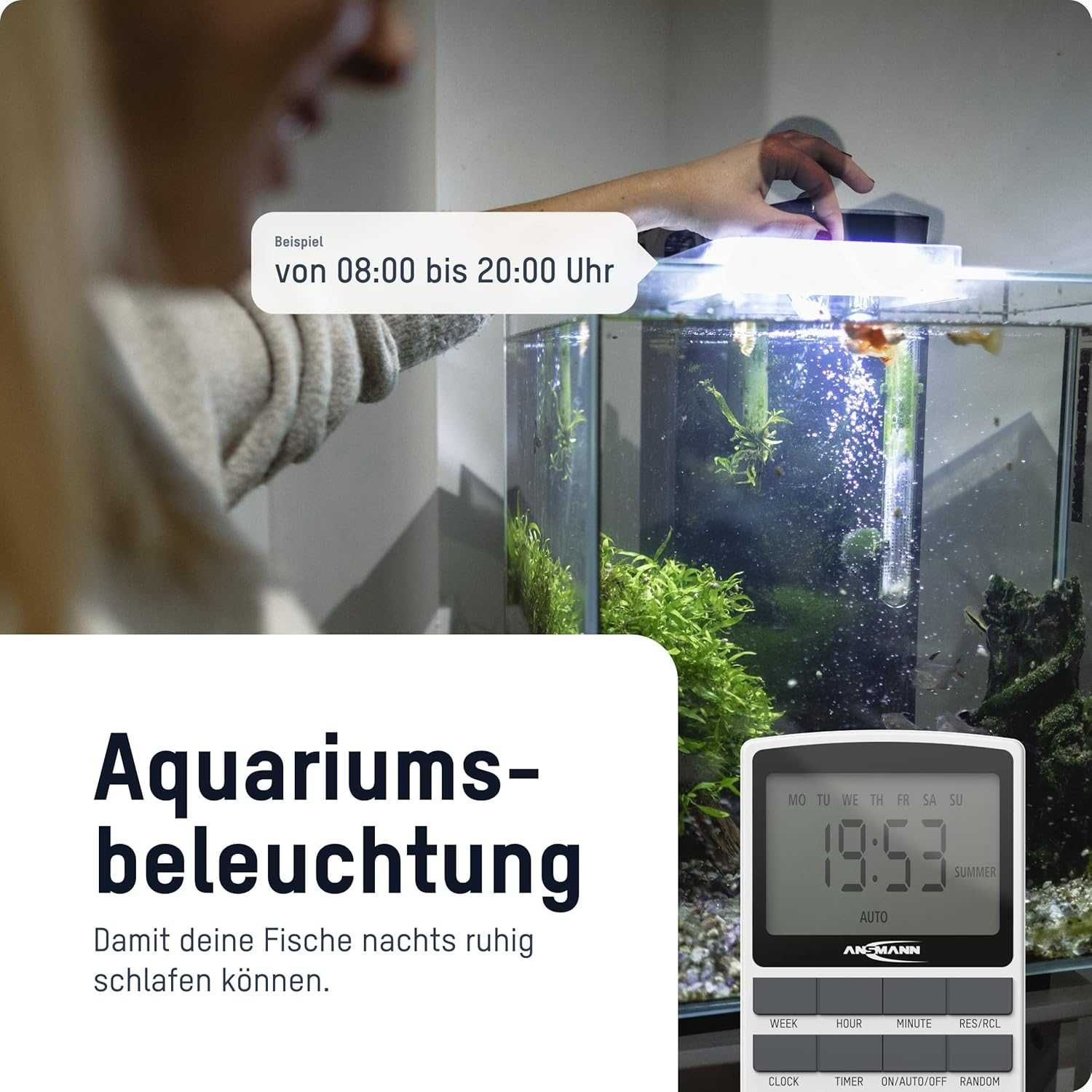 Programator czasowy Ansmann 1 szt
