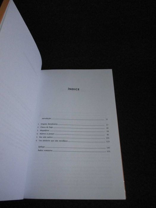 Livro As Lições dos Mestres George Steiner