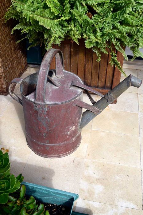 Regador Zinco Vintage