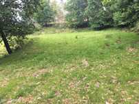 Quinta com 23.000m² à Venda no Gerês para Construção de Moradia ou Pro