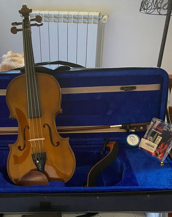 Viola de arco Stentor estado novo