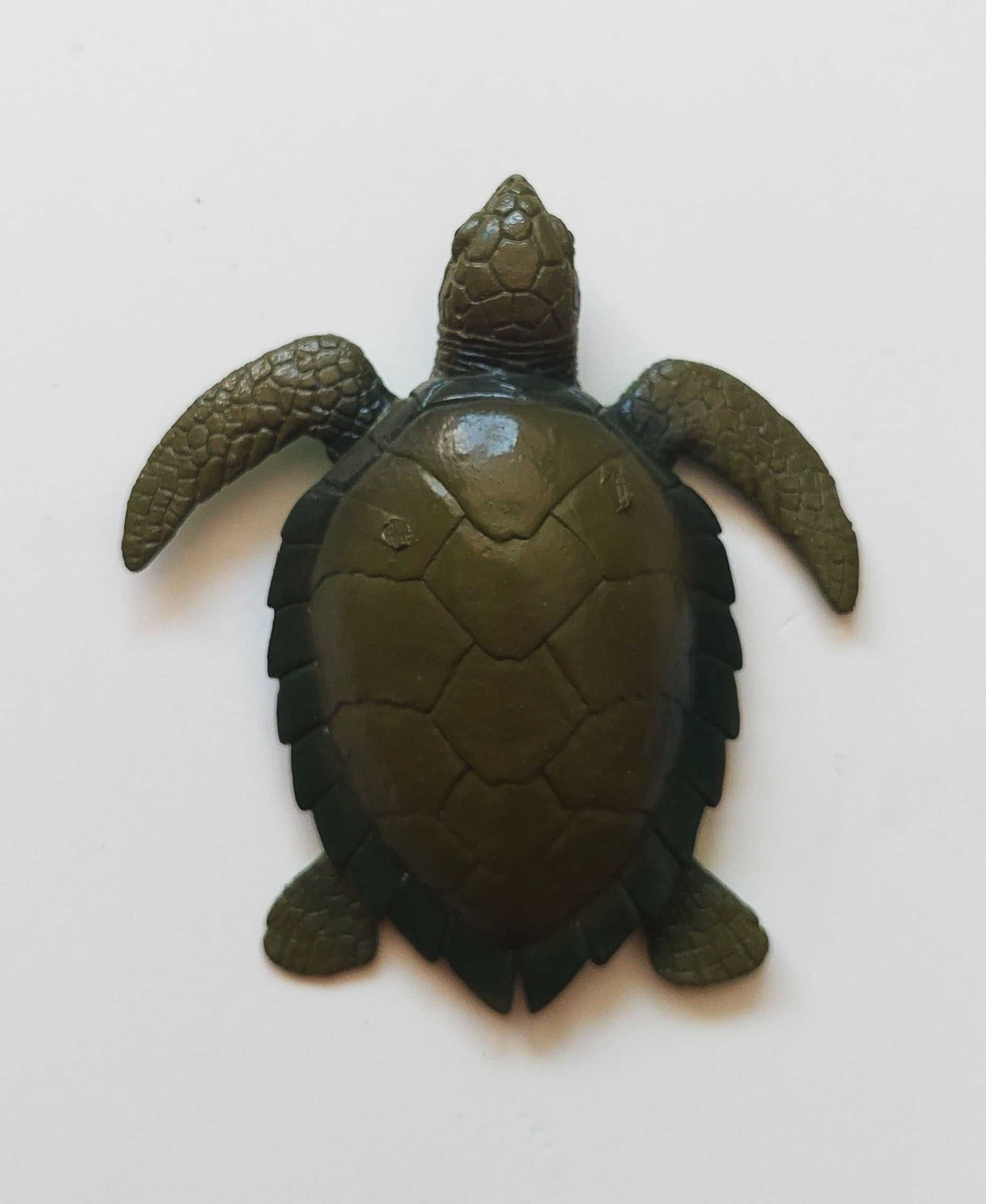 Tartaruga de plástico