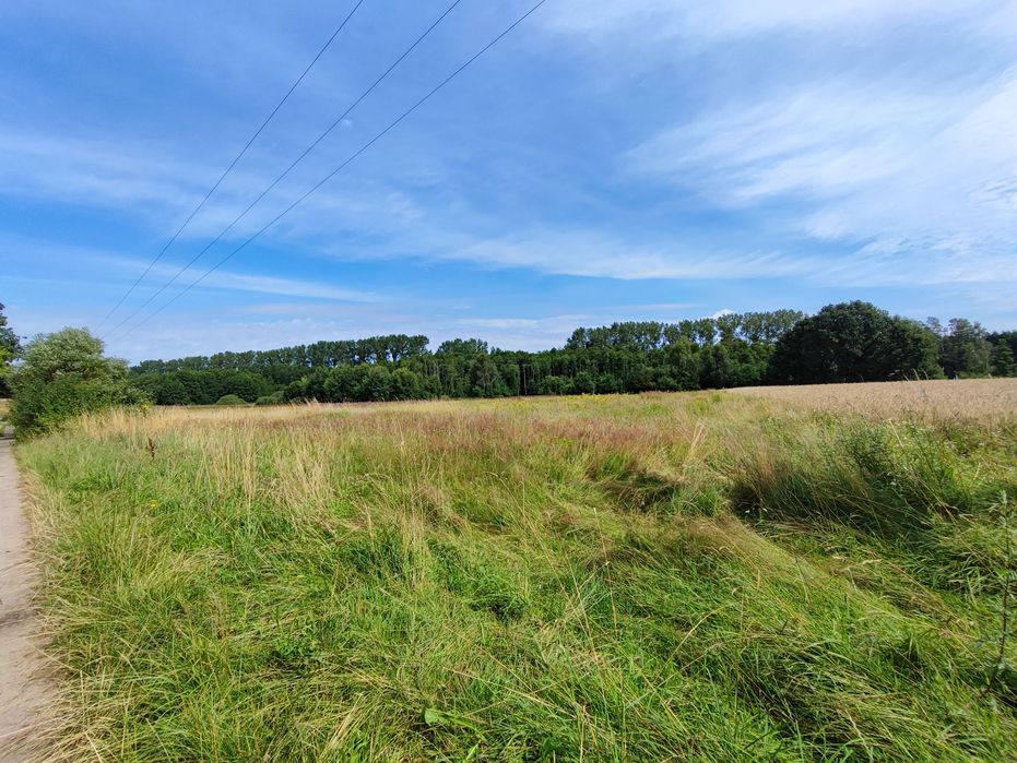 Ostatnia działka budowlana  Anielino 1450mkw z warunkami zabudowy