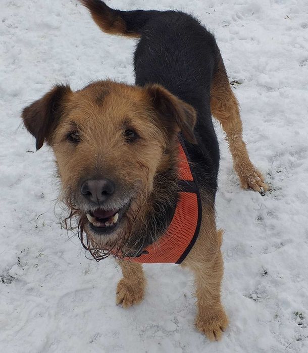 Terry czeka na szansę od życia, na własną rodzinę