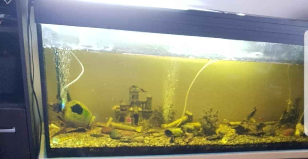Akwarium 400 l 170×55×47