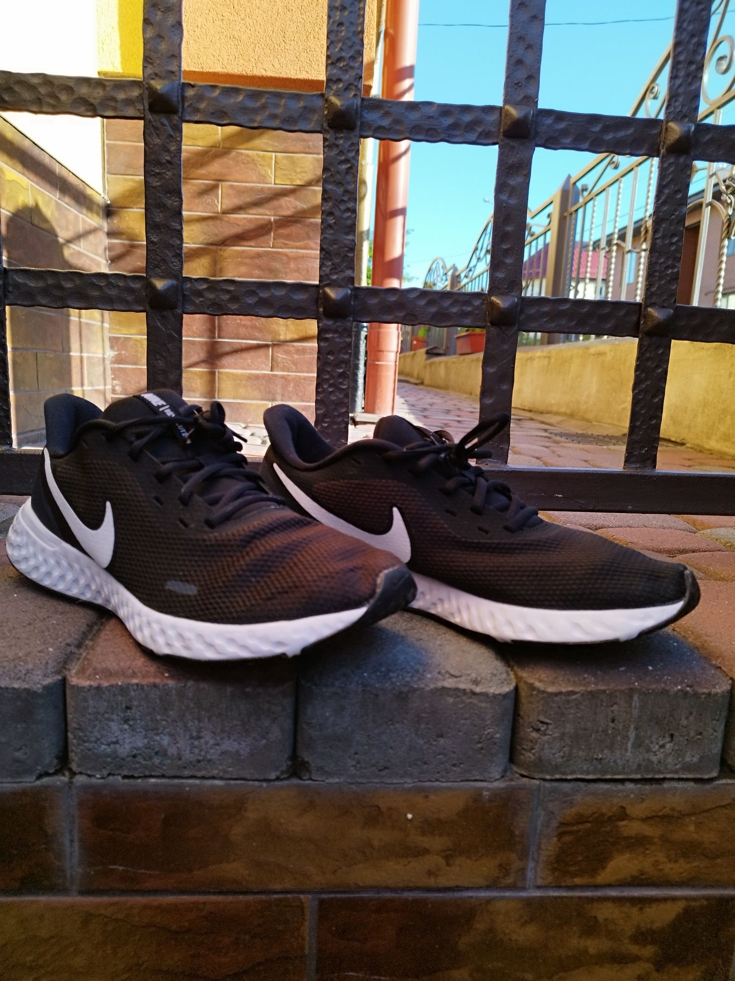 Кросівки чоловічі Nike Revolution 5