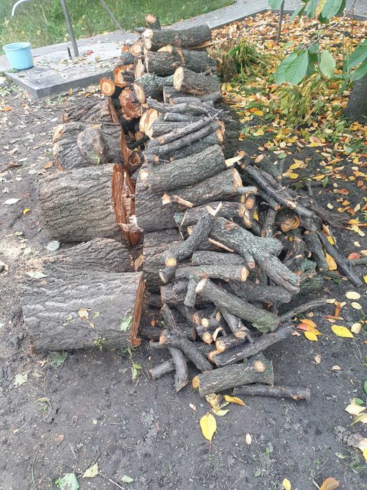 Продам дрова фруктовых деревьев на шашлык, для камина.