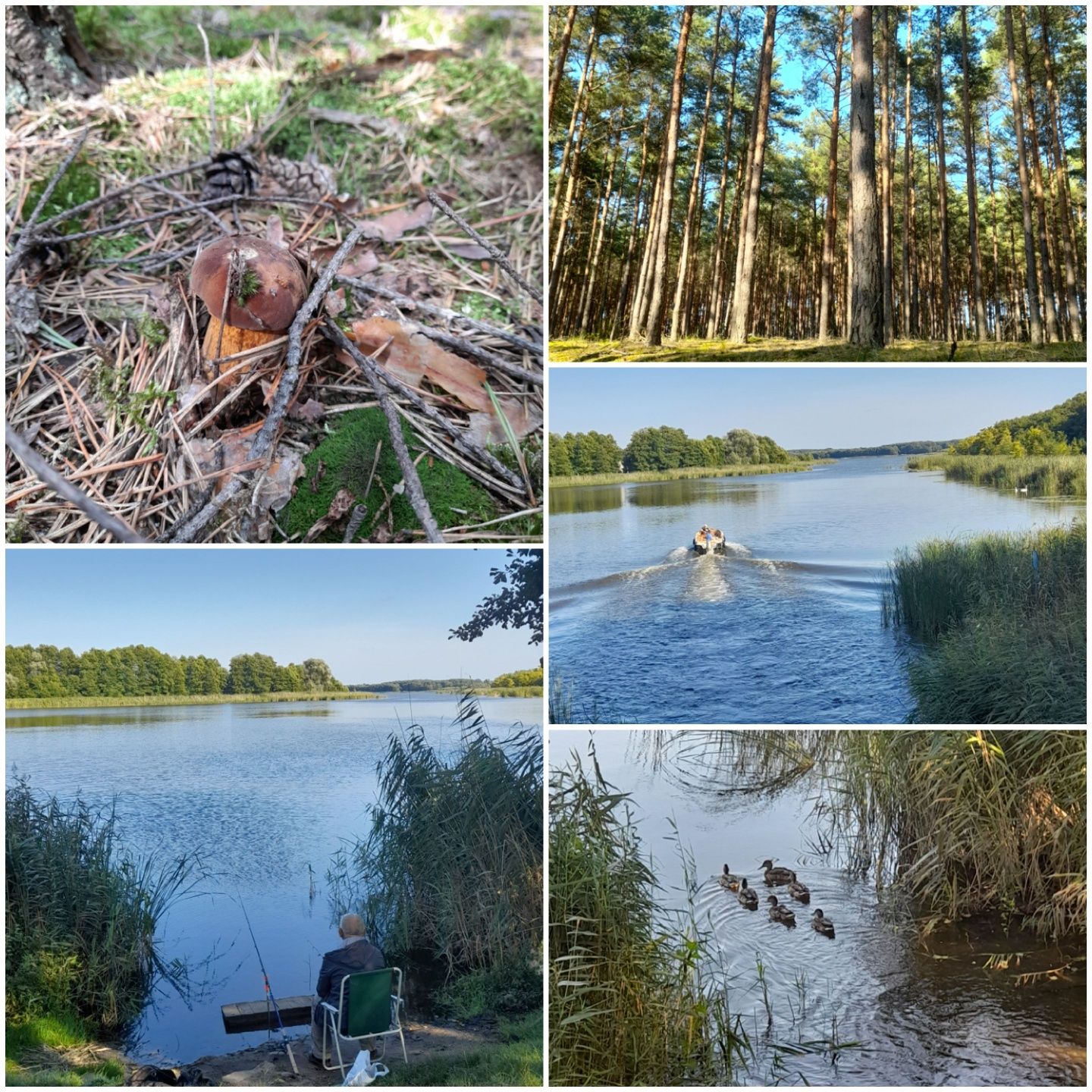 DOMEK NAD JEZIOREM_1,5h z Wrocławia_na wyłączność_taras_plac zabaw