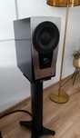 Kolumny podstawkowe Dynaudio Contour 1.4 LE - monitory
